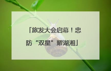 旅发大会启幕！忠防“双星”耀湖湘