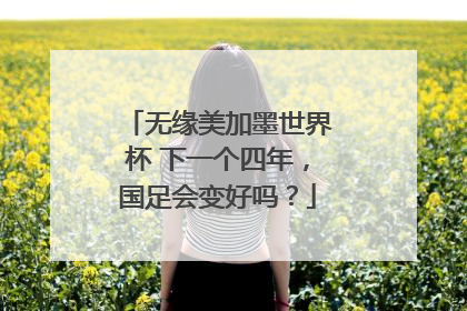 无缘美加墨世界杯 下一个四年，国足会变好吗？