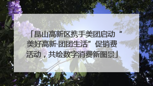 昆山高新区携手美团启动“美好高新·团团生活”促销费活动，共绘数字消费新图景