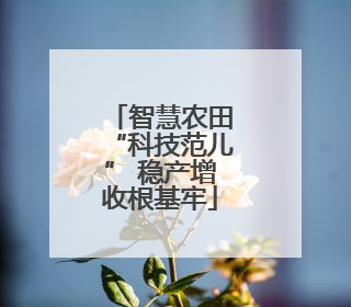 智慧农田“科技范儿” 稳产增收根基牢