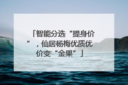 智能分选“提身价”，仙居杨梅优质优价变“金果”