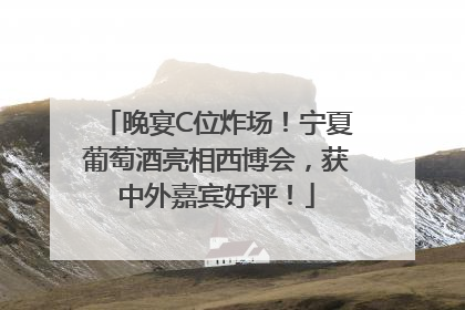 晚宴C位炸场！宁夏葡萄酒亮相西博会，获中外嘉宾好评！
