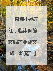 景观小品走红，临沭柳编藤编产业成文旅“新宠”