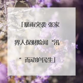 暴雨突袭 张家界人保财险闻“汛”而动护民生