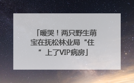 暖哭！两只野生萌宝在抚松林业局“住”上了VIP病房