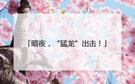暗夜，“猛龙”出击！