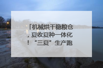 机械烘干稳粮仓，夏收夏种一体化！“三夏”生产跑出加速度｜麦报