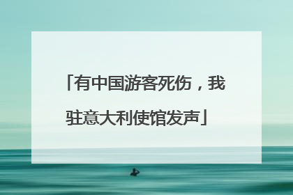 有中国游客死伤，我驻意大利使馆发声