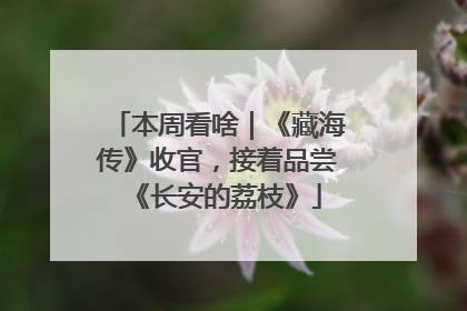 本周看啥｜《藏海传》收官，接着品尝《长安的荔枝》