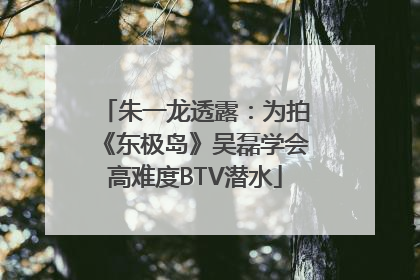朱一龙透露：为拍《东极岛》吴磊学会高难度BTV潜水