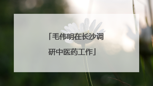 毛伟明在长沙调研中医药工作