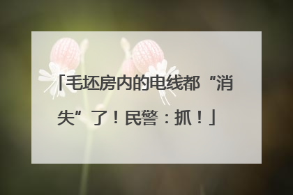 毛坯房内的电线都“消失”了！民警：抓！