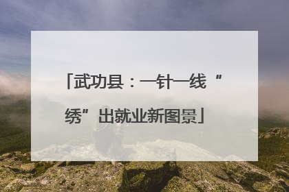 武功县：一针一线“绣”出就业新图景