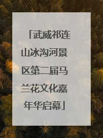 武威祁连山冰沟河景区第二届马兰花文化嘉年华启幕