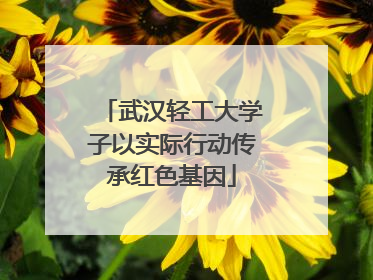 武汉轻工大学子以实际行动传承红色基因