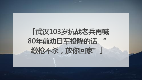 武汉103岁抗战老兵再喊80年前劝日军投降的话 “缴枪不杀，放你回家”