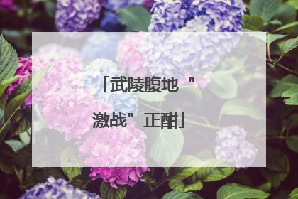 武陵腹地“激战”正酣
