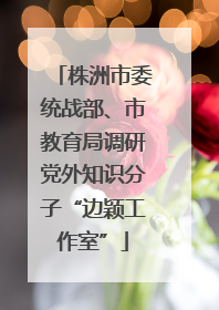株洲市委统战部、市教育局调研党外知识分子“边颖工作室”