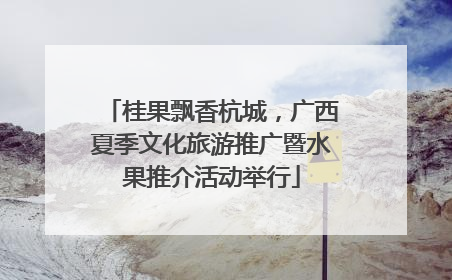 桂果飘香杭城，广西夏季文化旅游推广暨水果推介活动举行