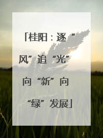 桂阳：逐“风”追“光” 向“新”向“绿”发展