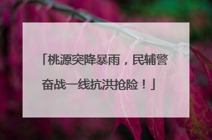 桃源突降暴雨，民辅警奋战一线抗洪抢险！