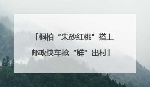 桐柏“朱砂红桃”搭上邮政快车抢“鲜”出村
