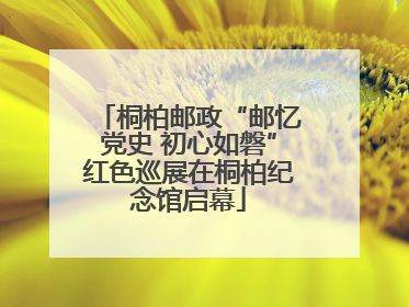 桐柏邮政“邮忆党史 初心如磐”红色巡展在桐柏纪念馆启幕