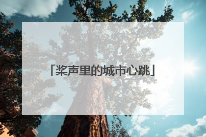 桨声里的城市心跳