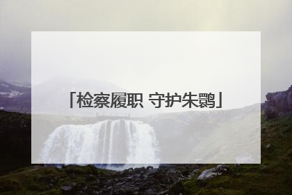 检察履职 守护朱鹮