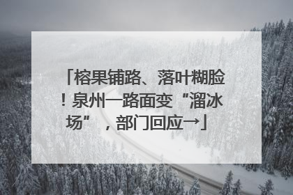 榕果铺路、落叶糊脸！泉州一路面变“溜冰场”，部门回应→