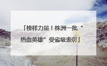 榜样力量！株洲一批“热血英雄”受省级表彰