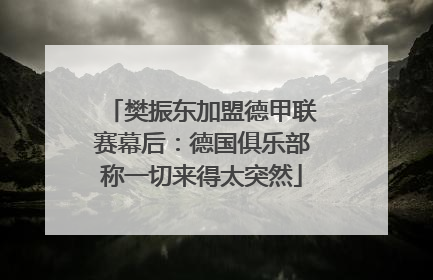 樊振东加盟德甲联赛幕后：德国俱乐部称一切来得太突然