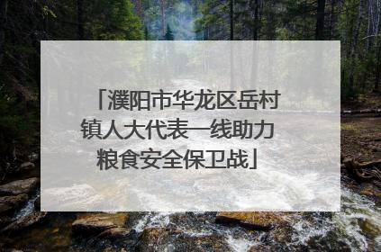 濮阳市华龙区岳村镇人大代表一线助力粮食安全保卫战