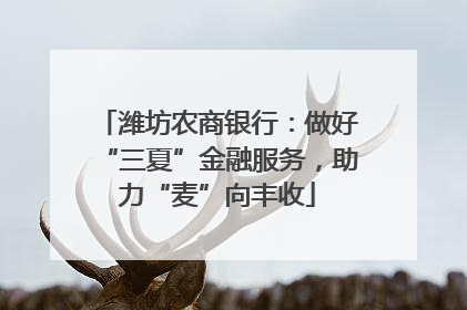 潍坊农商银行：做好“三夏”金融服务，助力“麦”向丰收