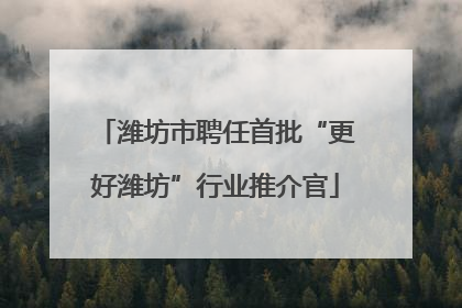 潍坊市聘任首批“更好潍坊”行业推介官