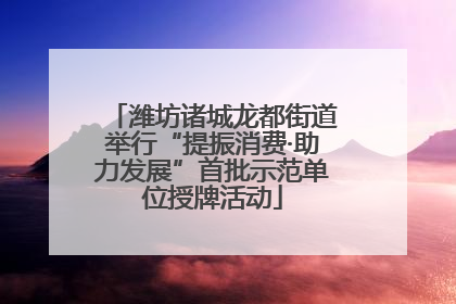 潍坊诸城龙都街道举行“提振消费·助力发展”首批示范单位授牌活动