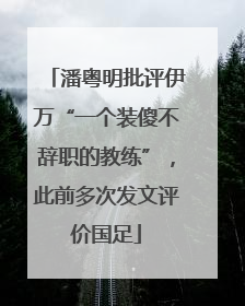 潘粤明批评伊万“一个装傻不辞职的教练”，此前多次发文评价国足