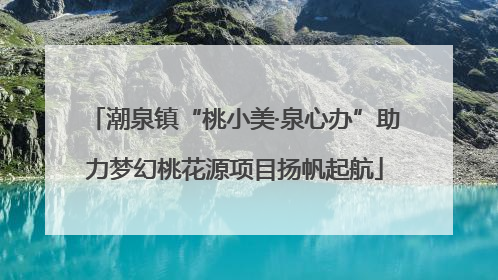 潮泉镇“桃小美·泉心办”助力梦幻桃花源项目扬帆起航