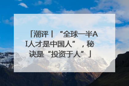 潮评丨“全球一半AI人才是中国人”，秘诀是“投资于人”