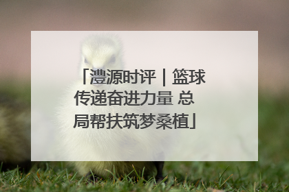 澧源时评｜篮球传递奋进力量 总局帮扶筑梦桑植