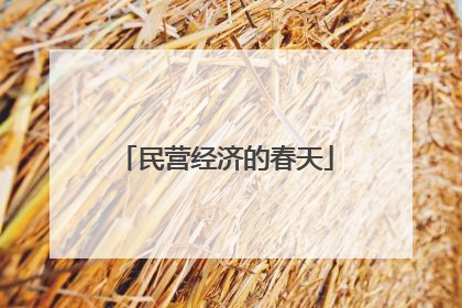 民营经济的春天