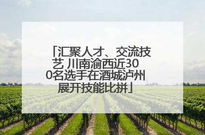 汇聚人才、交流技艺 川南渝西近300名选手在酒城泸州展开技能比拼