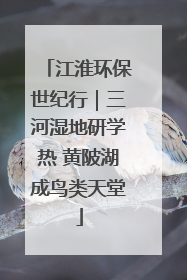 江淮环保世纪行｜三河湿地研学热 黄陂湖成鸟类天堂