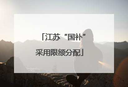 江苏“国补”采用限额分配