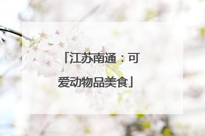 江苏南通：可爱动物品美食
