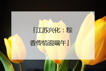 江苏兴化：粽香传情迎端午