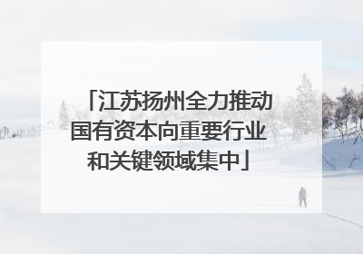 江苏扬州全力推动国有资本向重要行业和关键领域集中