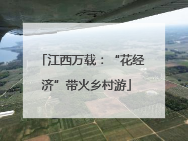 江西万载：“花经济”带火乡村游