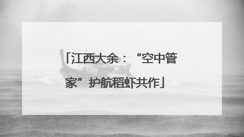江西大余：“空中管家”护航稻虾共作