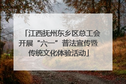 江西抚州东乡区总工会开展“六一”普法宣传暨传统文化体验活动